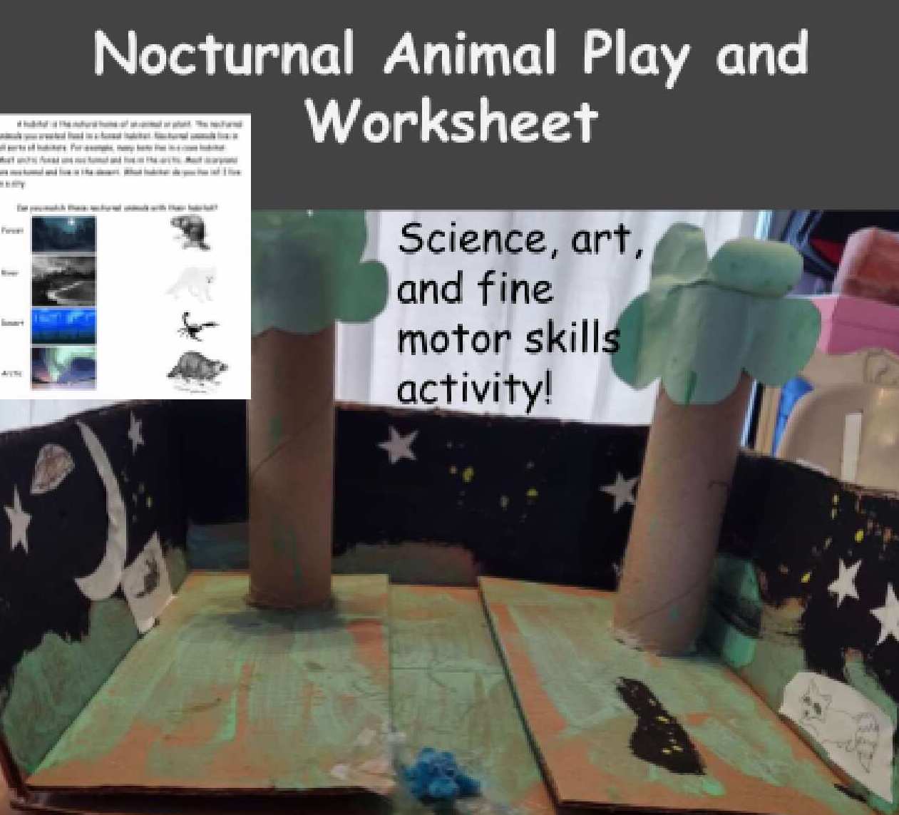 Nocturnal Animal Play Craft
